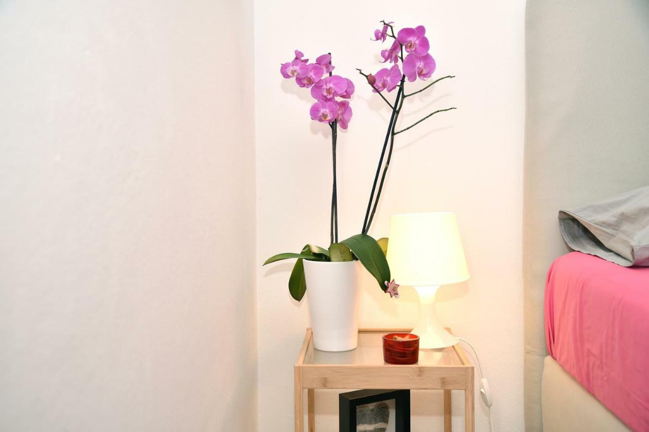 セスヴェテStudio Apartman Dアパートメント エクステリア 写真