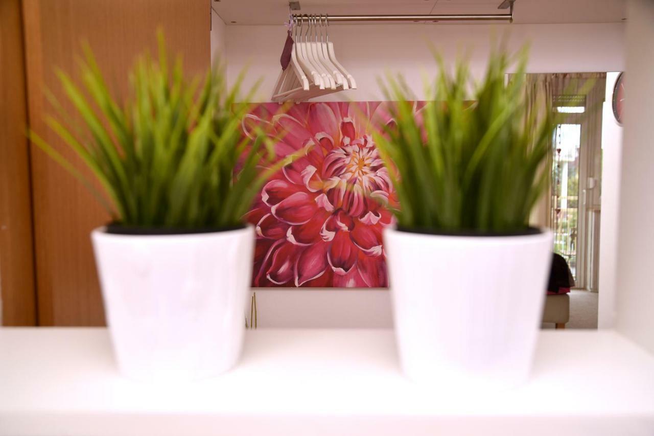 セスヴェテStudio Apartman Dアパートメント エクステリア 写真